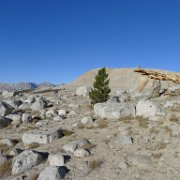 SouthernSierra 459 : SouthernSierra